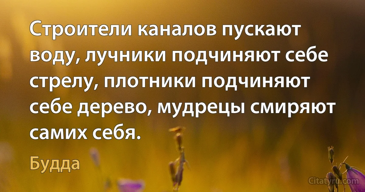 Строители каналов пускают воду, лучники подчиняют себе стрелу, плотники подчиняют себе дерево, мудрецы смиряют самих себя. (Будда)