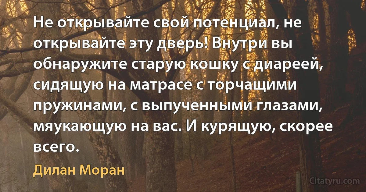 Не открывайте свой потенциал, не открывайте эту дверь! Внутри вы обнаружите старую кошку с диареей, сидящую на матрасе с торчащими пружинами, с выпученными глазами, мяукающую на вас. И курящую, скорее всего. (Дилан Моран)