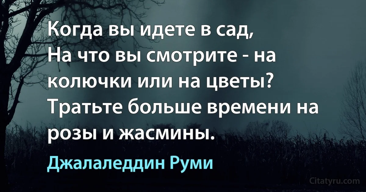 Когда вы идете в сад,
На что вы смотрите - на колючки или на цветы?
Тратьте больше времени на розы и жасмины. (Джалаледдин Руми)