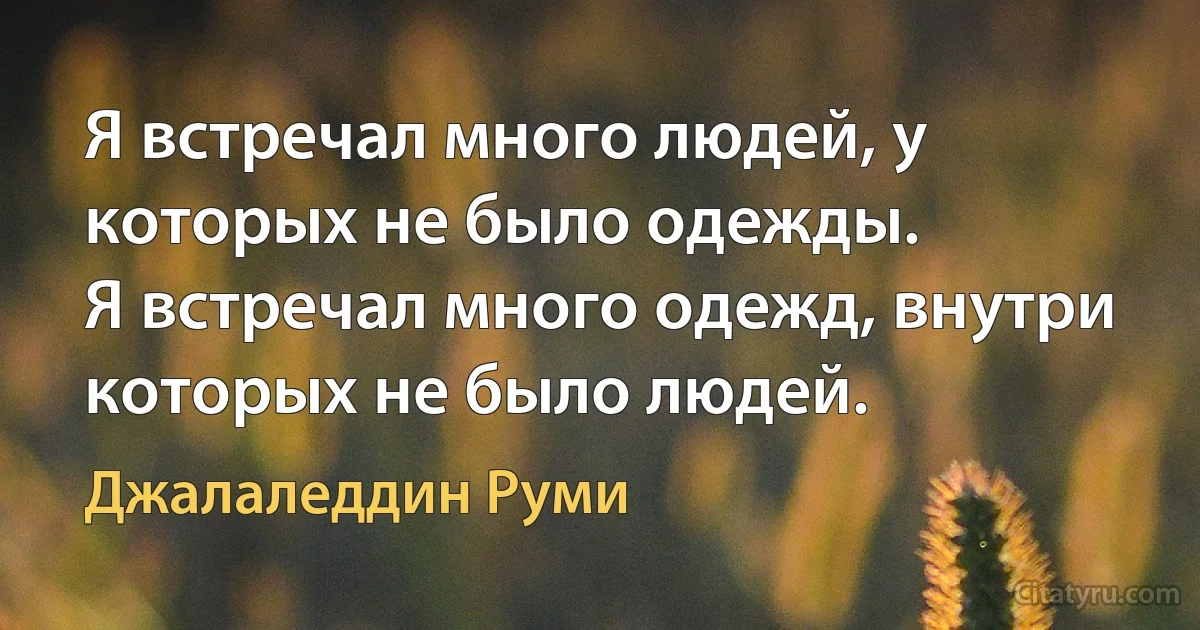 Я встречал много людей, у которых не было одежды.
Я встречал много одежд, внутри которых не было людей. (Джалаледдин Руми)