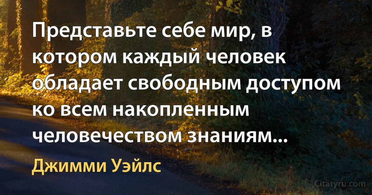 Представьте себе мир, в котором каждый человек обладает свободным доступом ко всем накопленным человечеством знаниям... (Джимми Уэйлс)