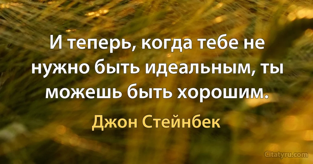 И теперь, когда тебе не нужно быть идеальным, ты можешь быть хорошим. (Джон Стейнбек)