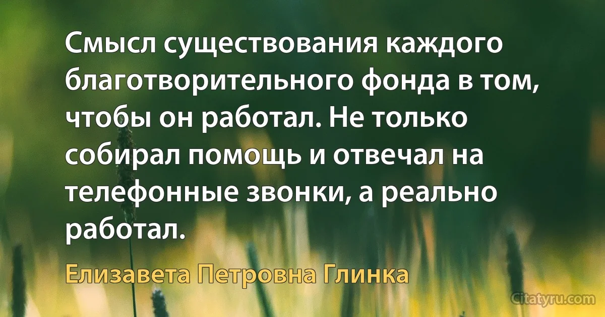 Смысл существования каждого благотворительного фонда в том, чтобы он работал. Не только собирал помощь и отвечал на телефонные звонки, а реально работал. (Елизавета Петровна Глинка)