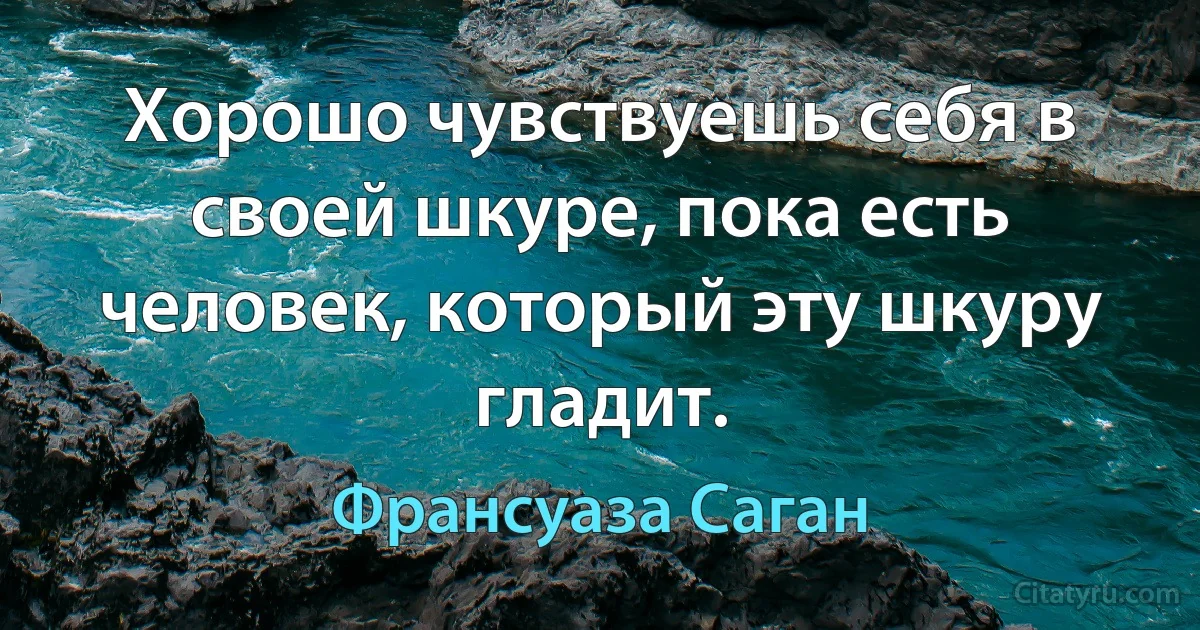 Хорошо чувствуешь себя в своей шкуре, пока есть человек, который эту шкуру гладит. (Франсуаза Саган)