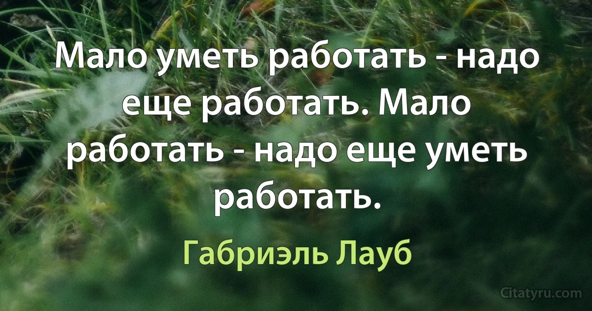 Мало уметь работать - надо еще работать. Мало работать - надо еще уметь работать. (Габриэль Лауб)