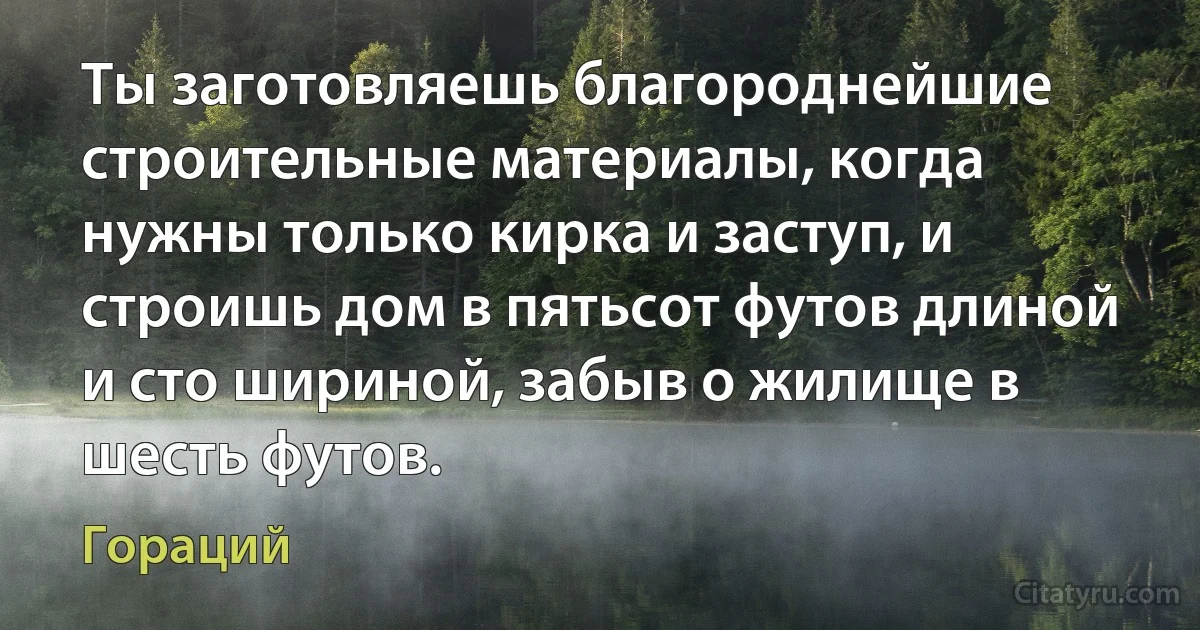 Ты заготовляешь благороднейшие строительные материалы, когда нужны только кирка и заступ, и строишь дом в пятьсот футов длиной и сто шириной, забыв о жилище в шесть футов. (Гораций)