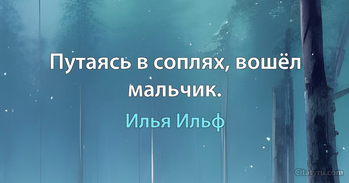 Путаясь в соплях, вошёл мальчик. (Илья Ильф)