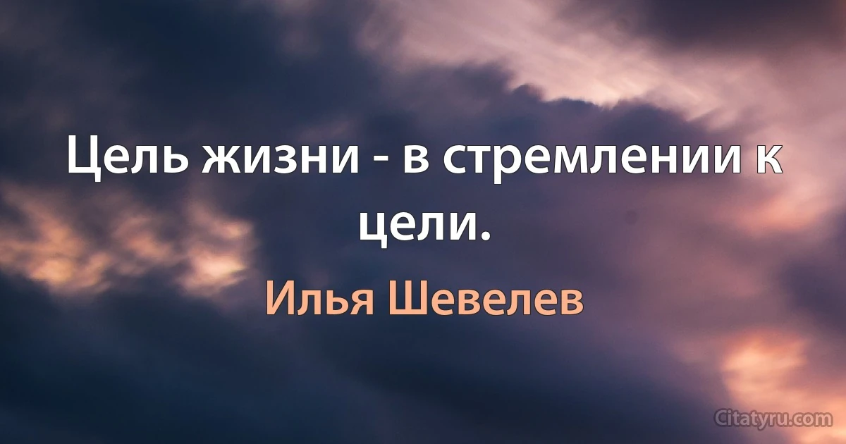 Цель жизни - в стремлении к цели. (Илья Шевелев)