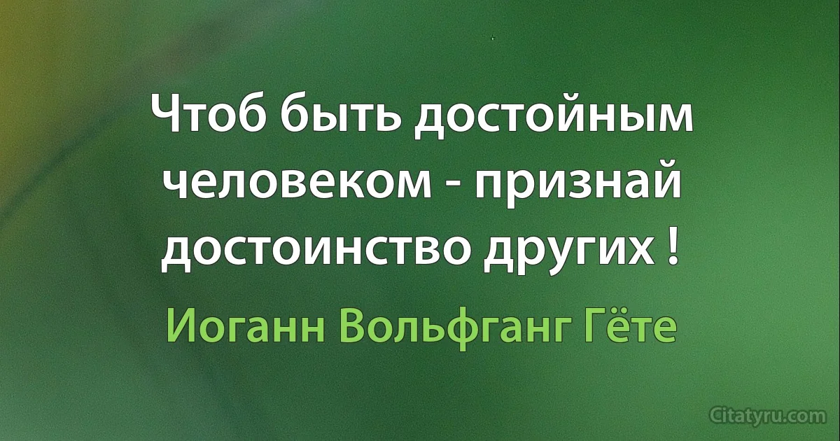 Чтоб быть достойным человеком - признай достоинство других ! (Иоганн Вольфганг Гёте)