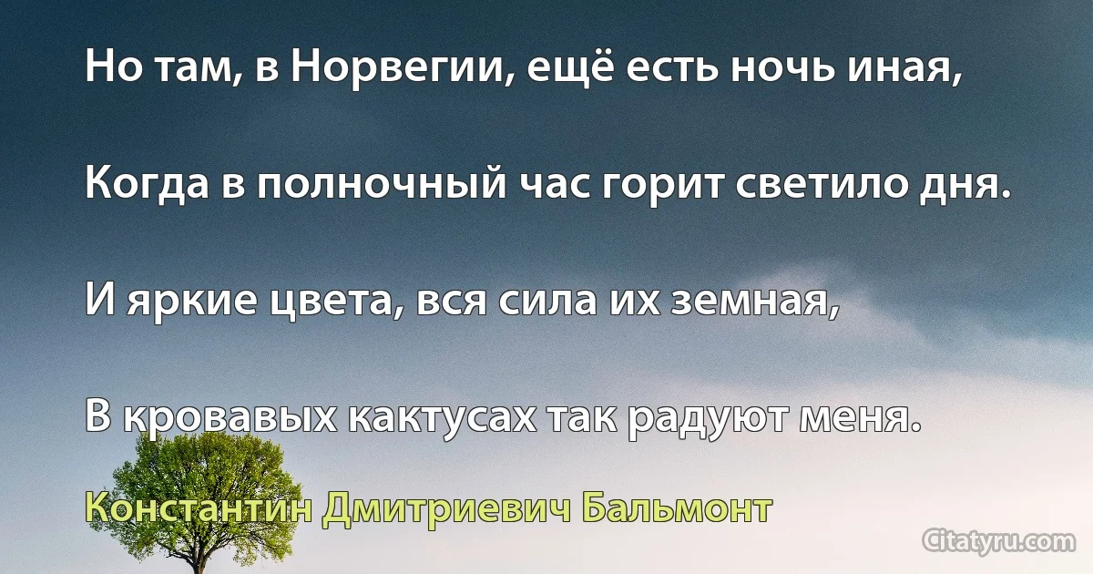 Но там, в Норвегии, ещё есть ночь иная,

Когда в полночный час горит светило дня.

И яркие цвета, вся сила их земная,

В кровавых кактусах так радуют меня. (Константин Дмитриевич Бальмонт)