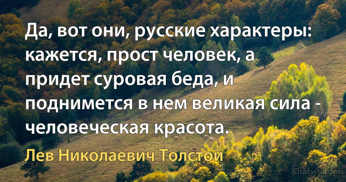 Да, вот они, русские характеры: кажется, прост человек, а придет суровая беда, и поднимется в нем великая сила - человеческая красота. (Лев Николаевич Толстой)