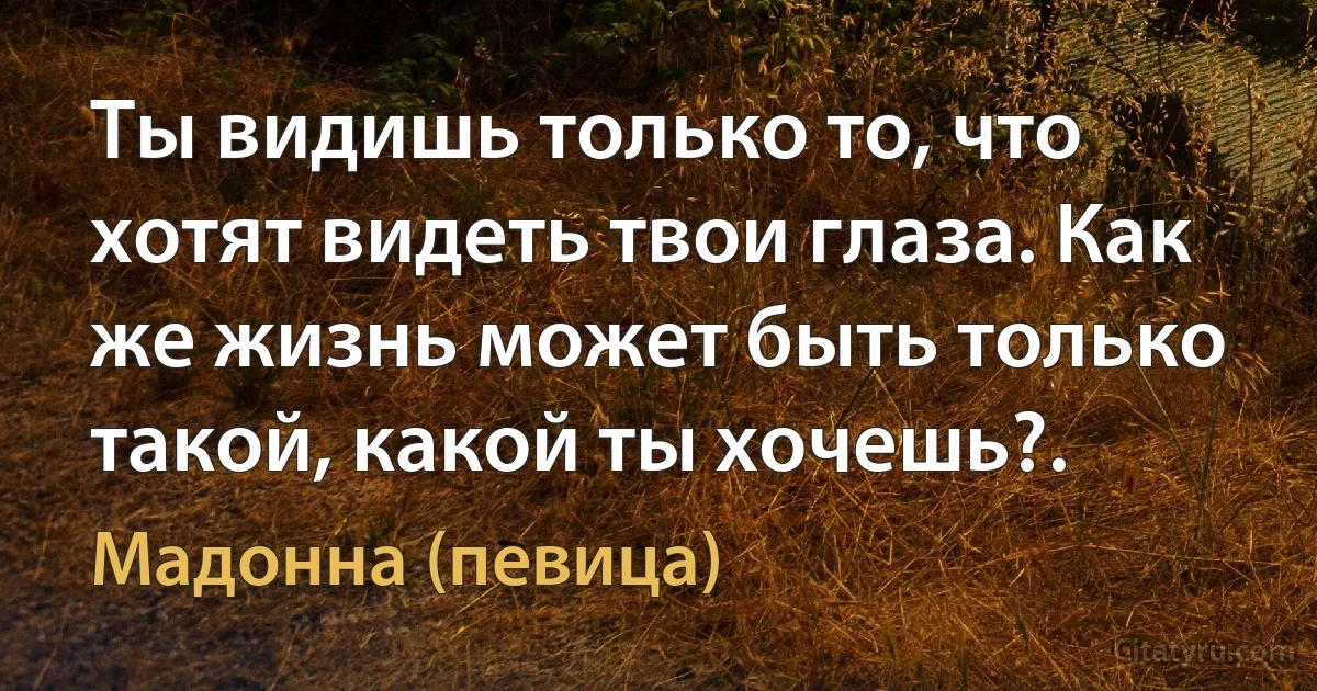 Ты видишь только то, что хотят видеть твои глаза. Как же жизнь может быть только такой, какой ты хочешь?. (Мадонна (певица))