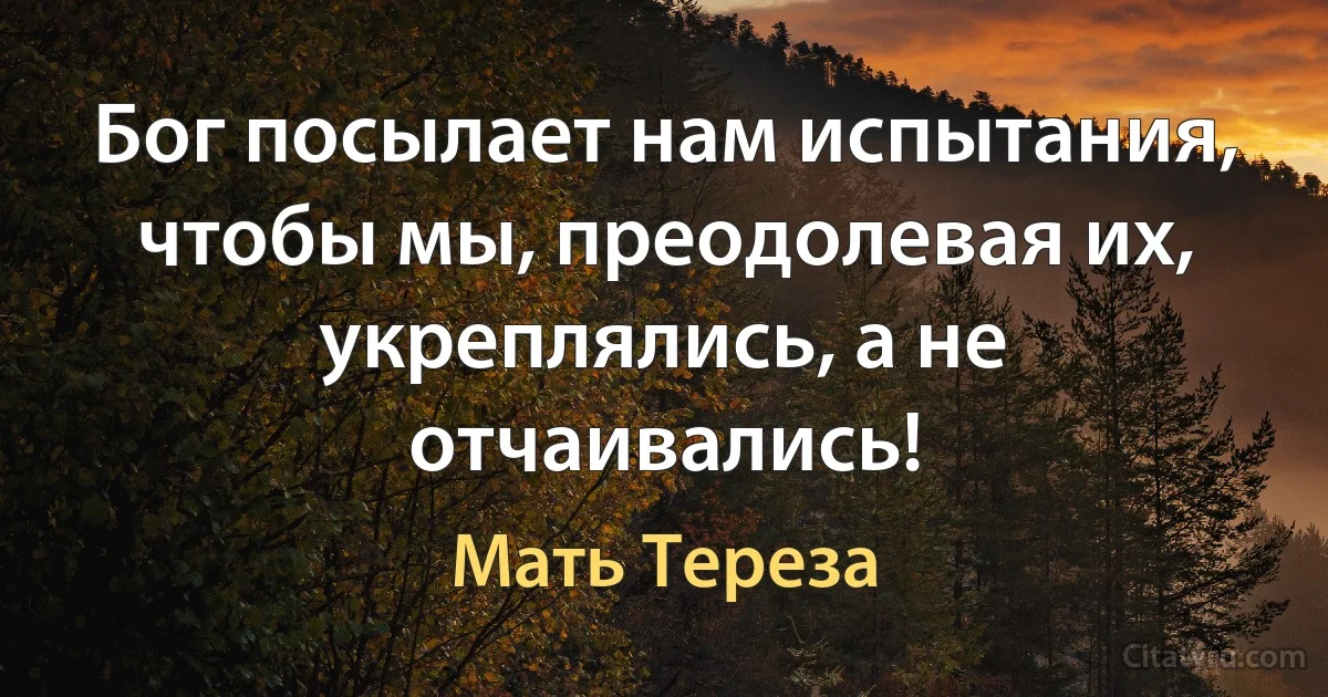 Бог посылает нам испытания, чтобы мы, преодолевая их, укреплялись, а не отчаивались! (Мать Тереза)