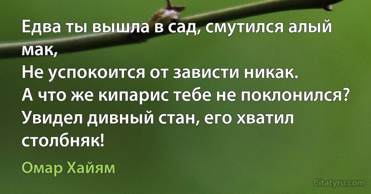 Едва ты вышла в сад, смутился алый мак,
Не успокоится от зависти никак.
А что же кипарис тебе не поклонился?
Увидел дивный стан, его хватил столбняк! (Омар Хайям)