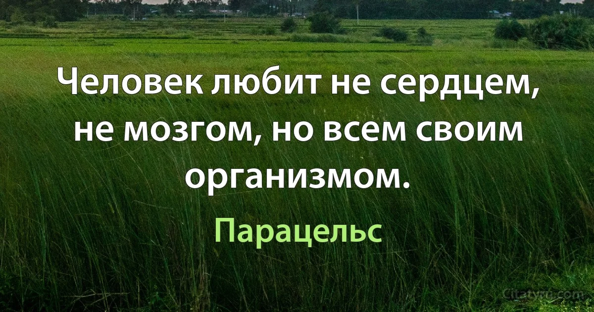 Человек любит не сердцем, не мозгом, но всем своим организмом. (Парацельс)