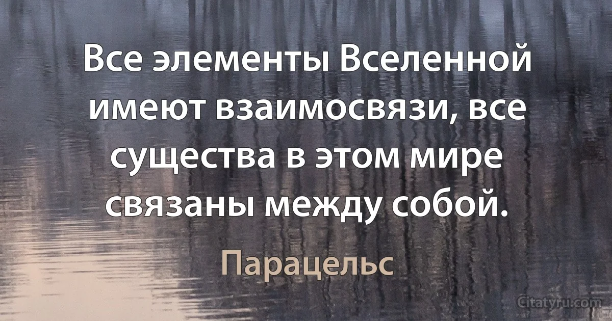 Все элементы Вселенной имеют взаимосвязи, все существа в этом мире связаны между собой. (Парацельс)