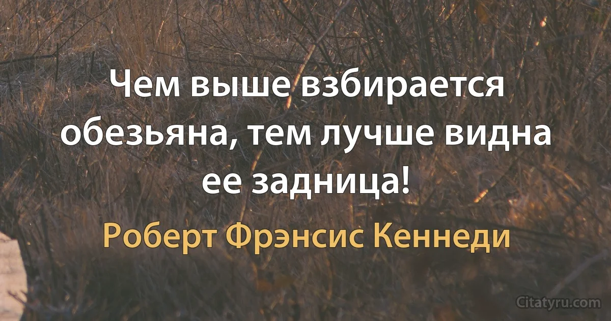 Чем выше взбирается обезьяна, тем лучше видна ее задница! (Роберт Фрэнсис Кеннеди)