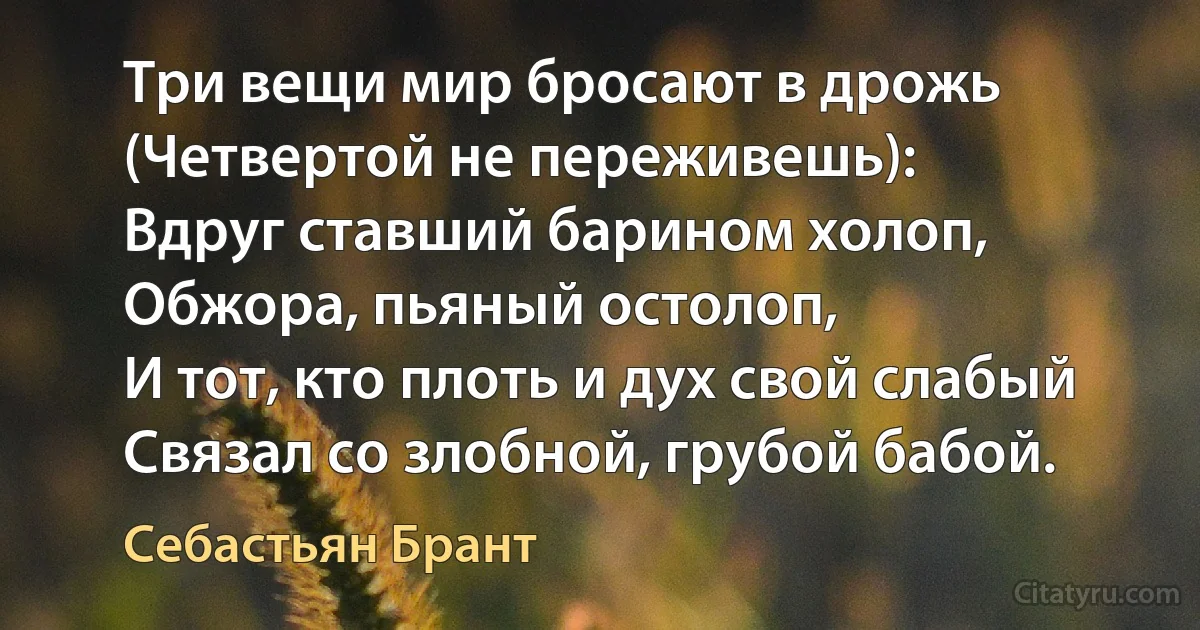 Три вещи мир бросают в дрожь
(Четвертой не переживешь):
Вдруг ставший барином холоп,
Обжора, пьяный остолоп,
И тот, кто плоть и дух свой слабый
Связал со злобной, грубой бабой. (Себастьян Брант)