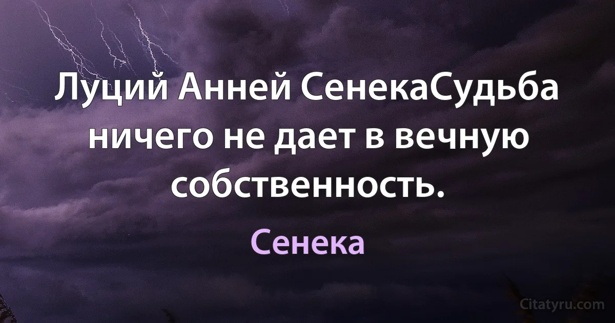 Луций Анней СенекаСудьба ничего не дает в вечную собственность. (Сенека)