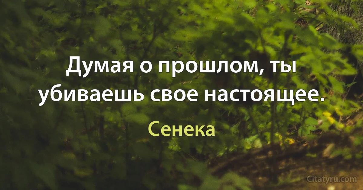 Думая о прошлом, ты убиваешь свое настоящее. (Сенека)