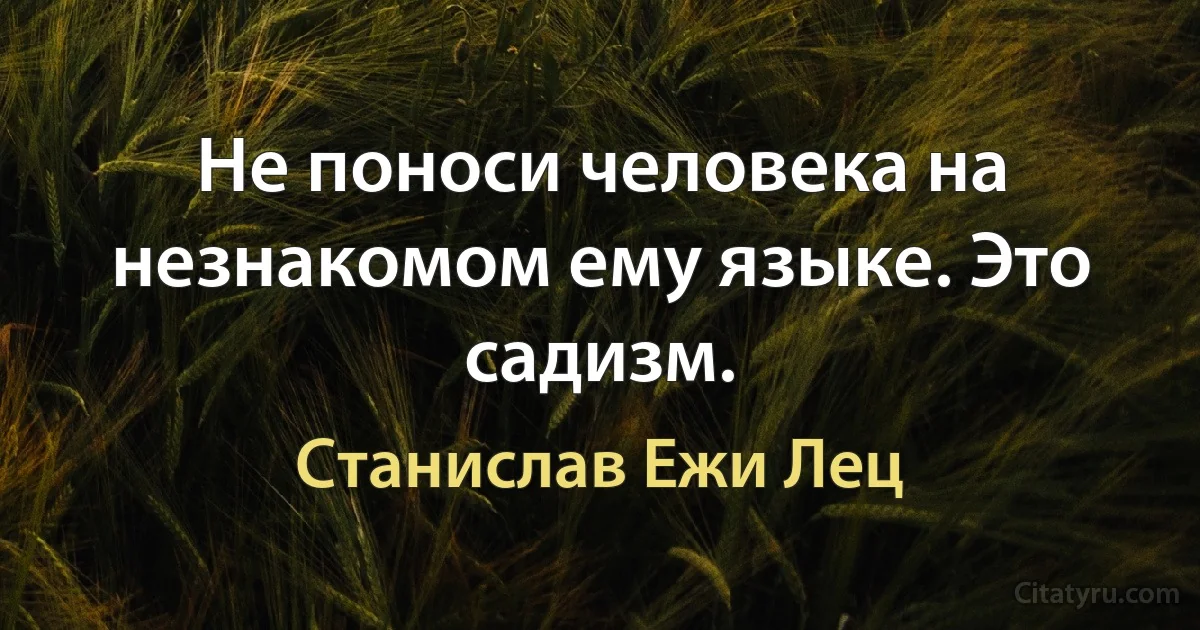 Не поноси человека на незнакомом ему языке. Это садизм. (Станислав Ежи Лец)