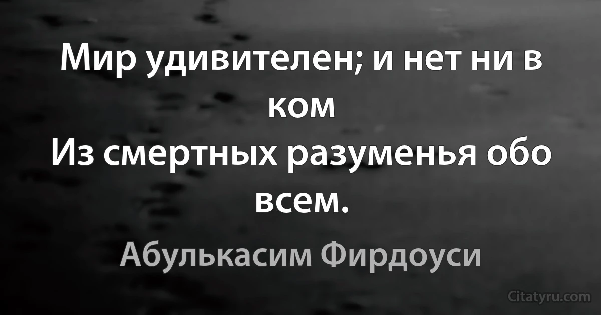 Мир удивителен; и нет ни в ком
Из смертных разуменья обо всем. (Абулькасим Фирдоуси)