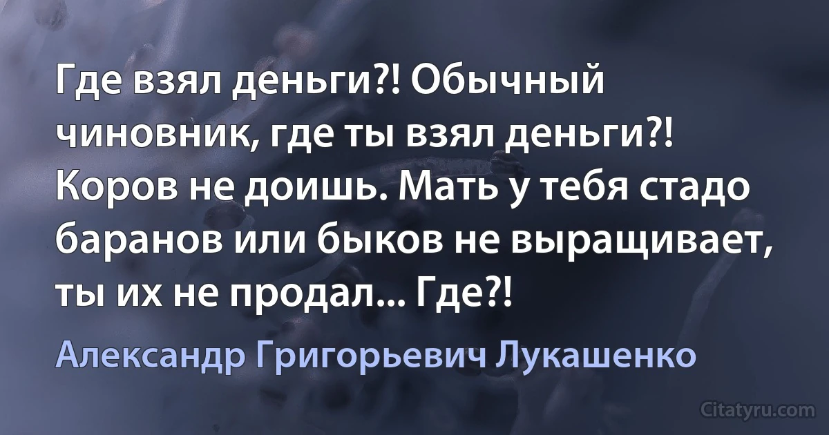 Где взял деньги?! Обычный чиновник, где ты взял деньги?! Коров не доишь. Мать у тебя стадо баранов или быков не выращивает, ты их не продал... Где?! (Александр Григорьевич Лукашенко)