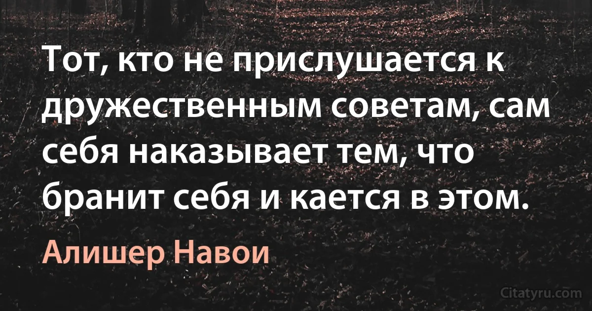 Тот, кто не прислушается к дружественным советам, сам себя наказывает тем, что бранит себя и кается в этом. (Алишер Навои)