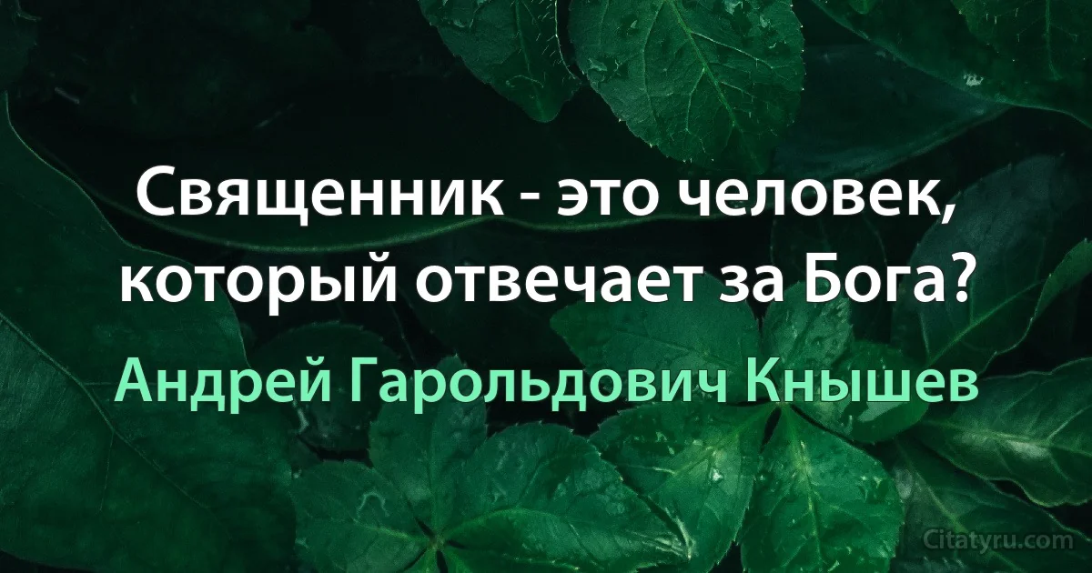 Священник - это человек, который отвечает за Бога? (Андрей Гарольдович Кнышев)