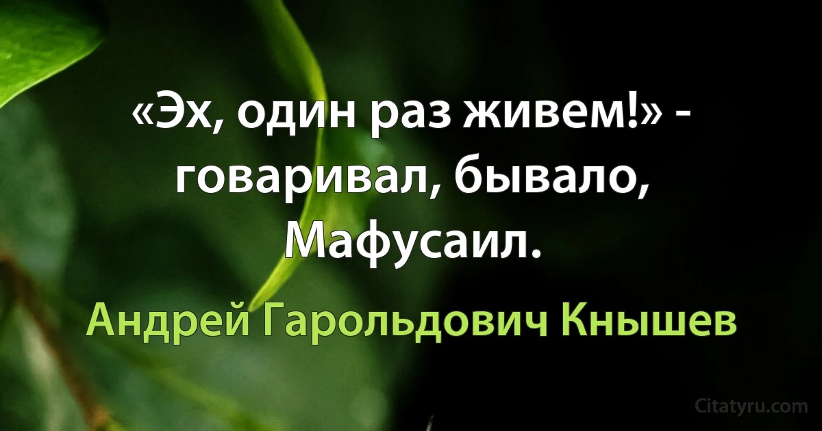 «Эх, один раз живем!» - говаривал, бывало, Мафусаил. (Андрей Гарольдович Кнышев)