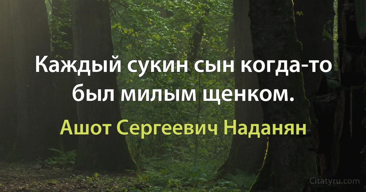 Каждый сукин сын когда-то был милым щенком. (Ашот Сергеевич Наданян)