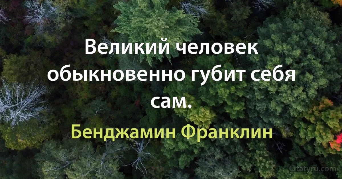 Великий человек обыкновенно губит себя сам. (Бенджамин Франклин)