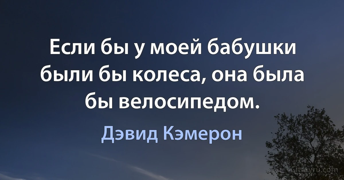 Если бы у моей бабушки были бы колеса, она была бы велосипедом. (Дэвид Кэмерон)