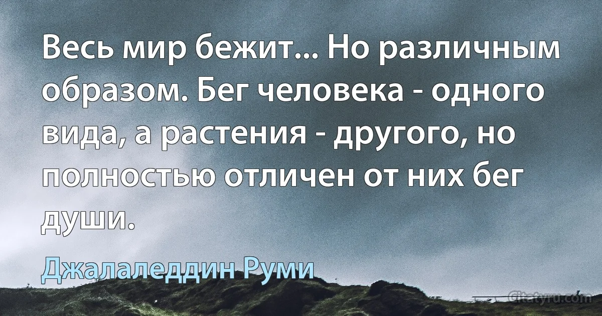 Весь мир бежит... Но различным образом. Бег человека - одного вида, а растения - другого, но полностью отличен от них бег души. (Джалаледдин Руми)