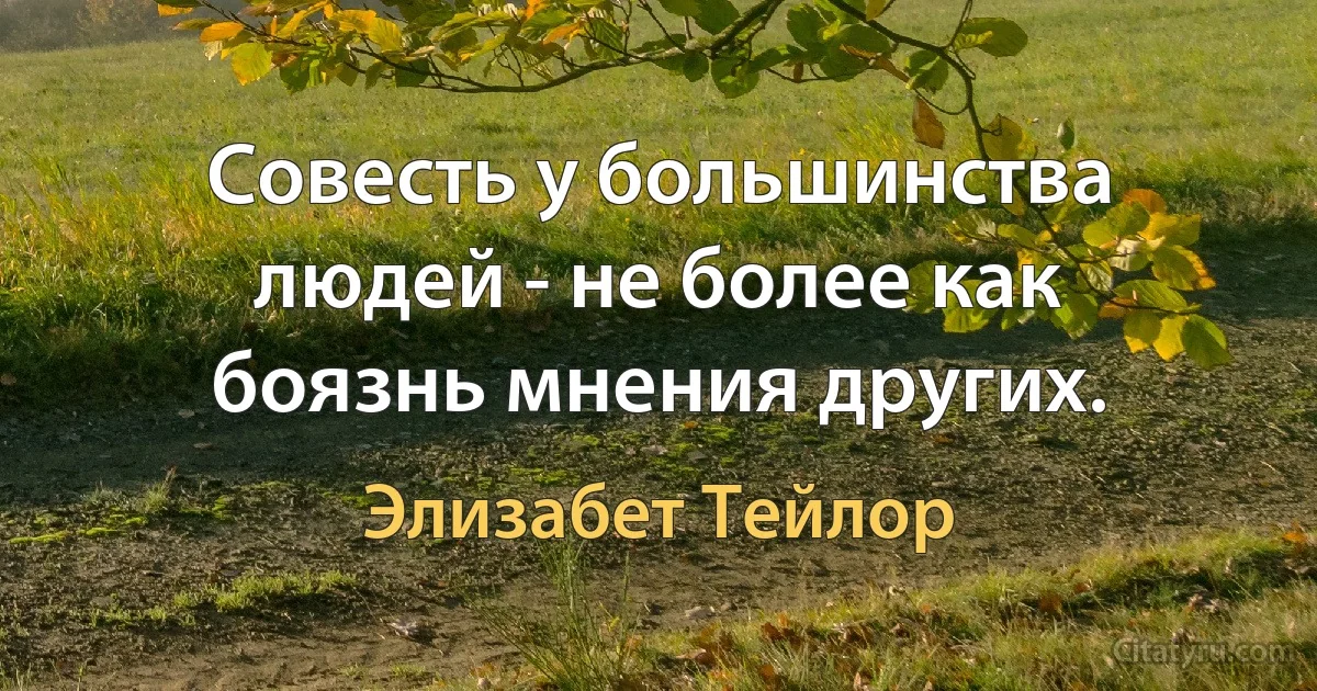 Совесть у большинства людей - не более как боязнь мнения других. (Элизабет Тейлор)