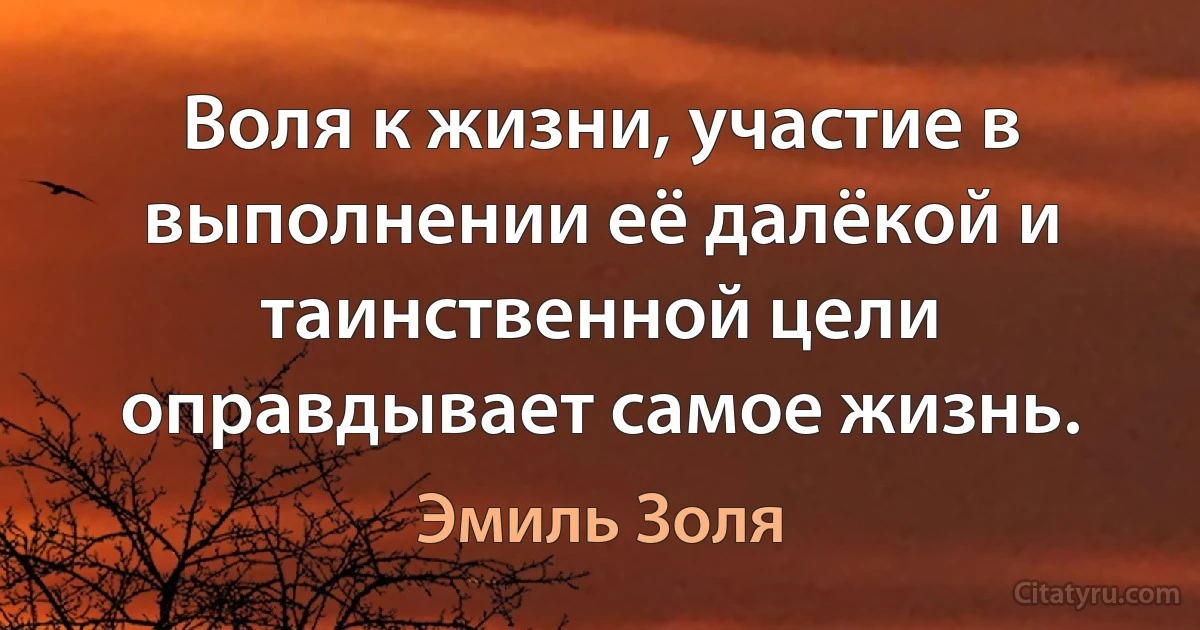 Воля к жизни, участие в выполнении её далёкой и таинственной цели оправдывает самое жизнь. (Эмиль Золя)