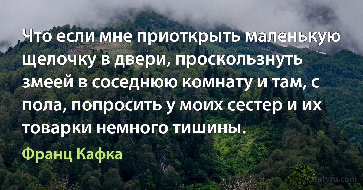 Что если мне приоткрыть маленькую щелочку в двери, проскользнуть змеей в соседнюю комнату и там, с пола, попросить у моих сестер и их товарки немного тишины. (Франц Кафка)