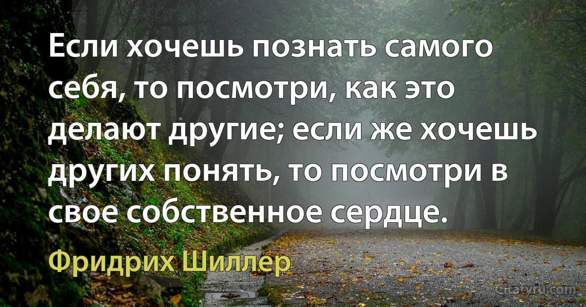 Если хочешь познать самого себя, то посмотри, как это делают другие; если же хочешь других понять, то посмотри в свое собственное сердце. (Фридрих Шиллер)