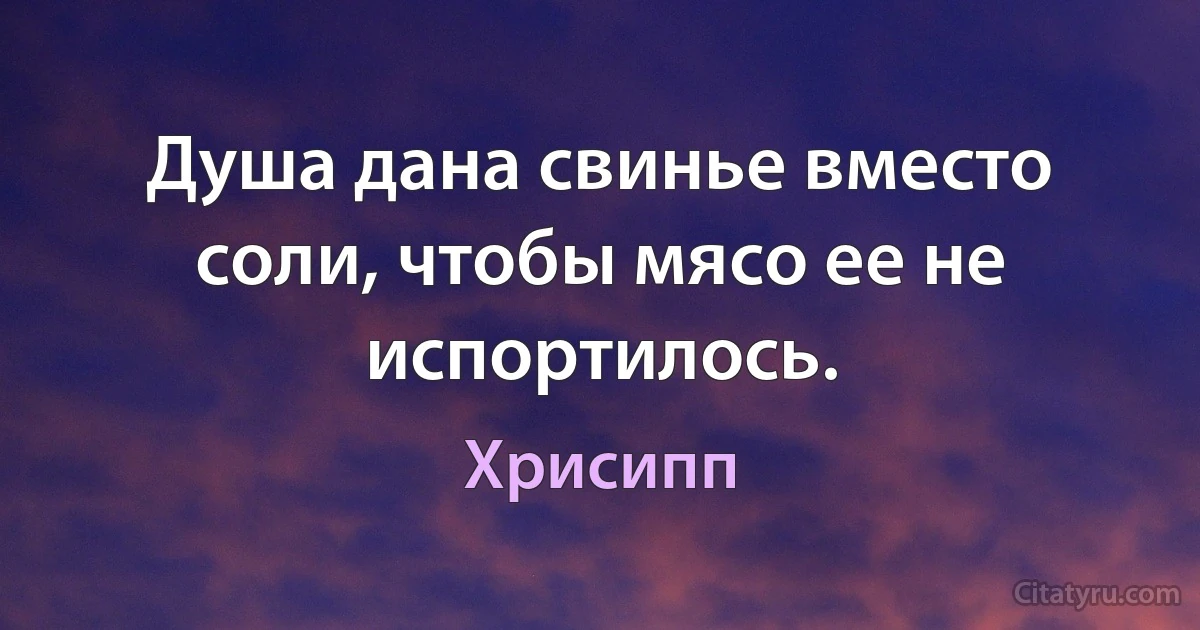 Душа дана свинье вместо соли, чтобы мясо ее не испортилось. (Хрисипп)