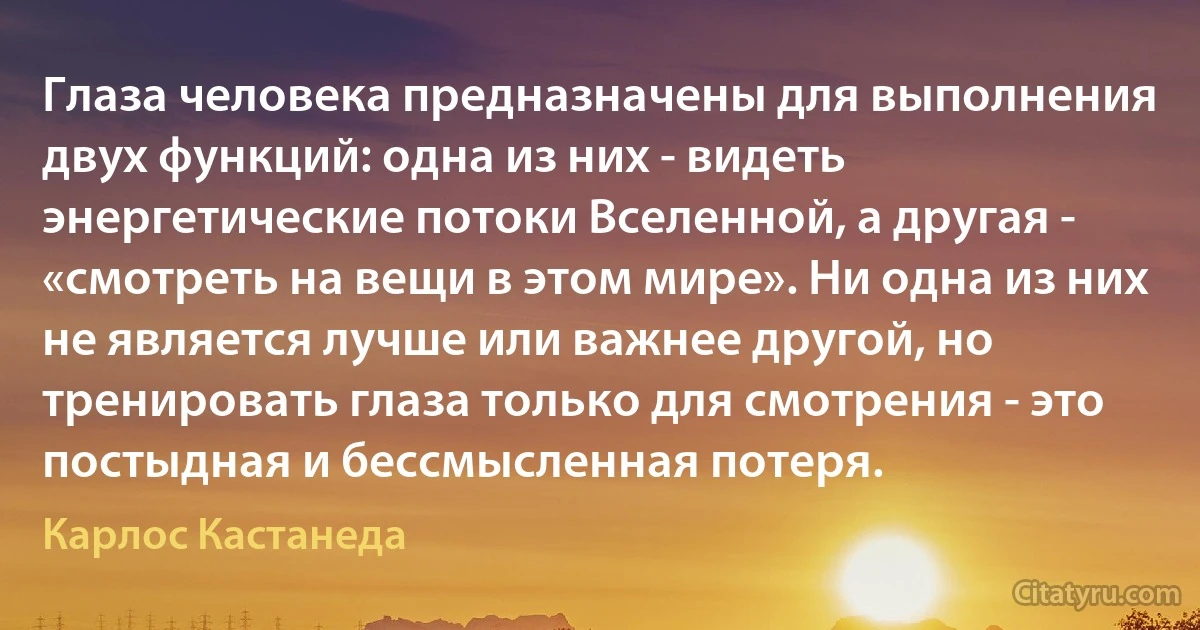 Глаза человека предназначены для выполнения двух функций: одна из них - видеть энергетические потоки Вселенной, а другая - «смотреть на вещи в этом мире». Ни одна из них не является лучше или важнее другой, но тренировать глаза только для смотрения - это постыдная и бессмысленная потеря. (Карлос Кастанеда)