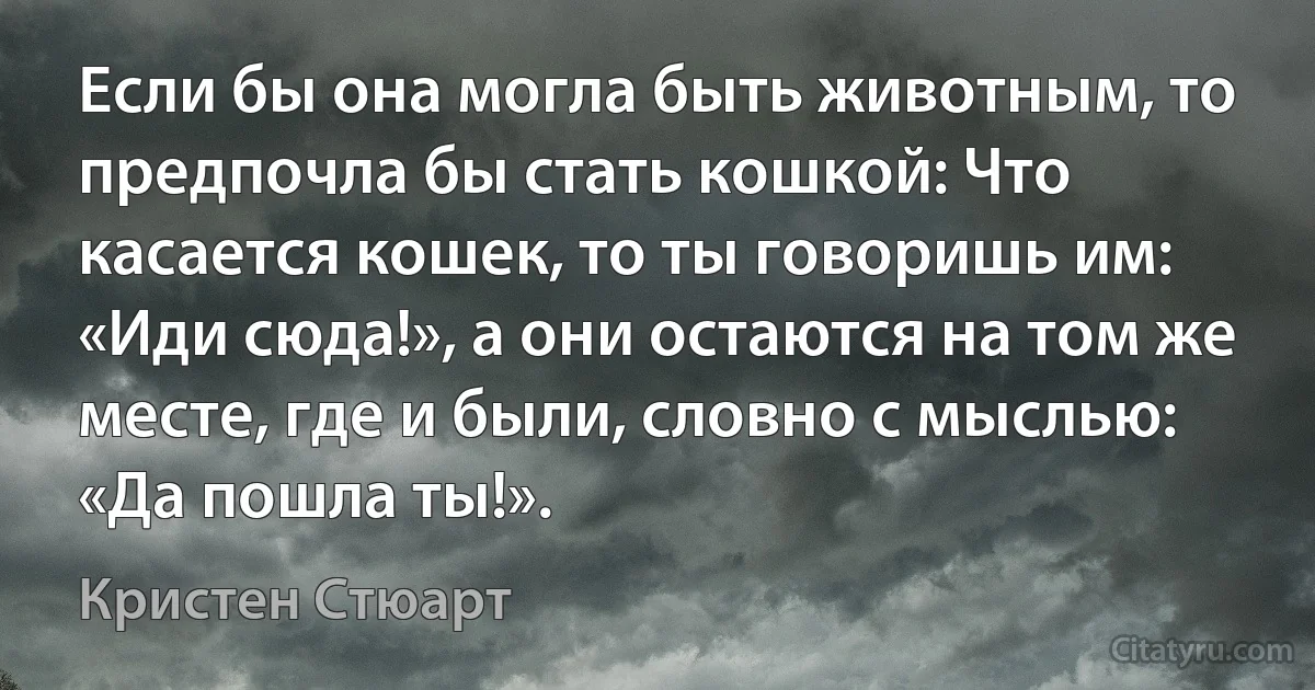 Если бы она могла быть животным, то предпочла бы стать кошкой: Что касается кошек, то ты говоришь им: «Иди сюда!», а они остаются на том же месте, где и были, словно с мыслью: «Да пошла ты!». (Кристен Стюарт)