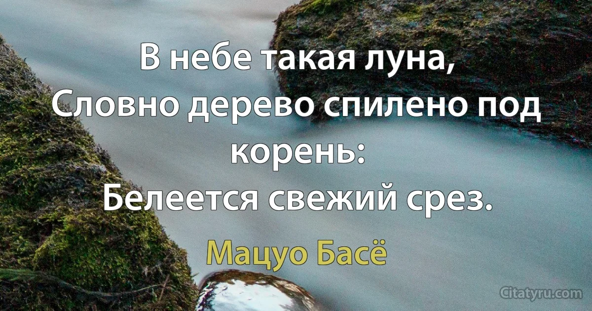 В небе такая луна,
Словно дерево спилено под корень:
Белеется свежий срез. (Мацуо Басё)