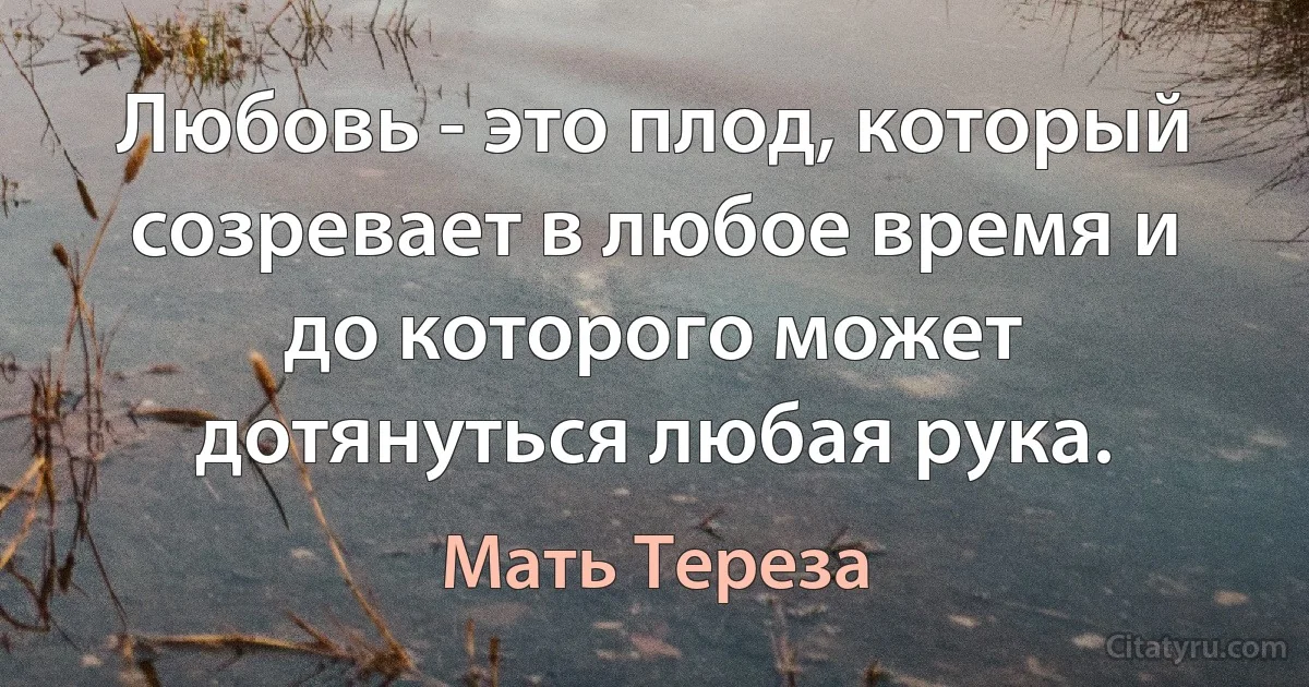 Любовь - это плод, который созревает в любое время и до которого может дотянуться любая рука. (Мать Тереза)