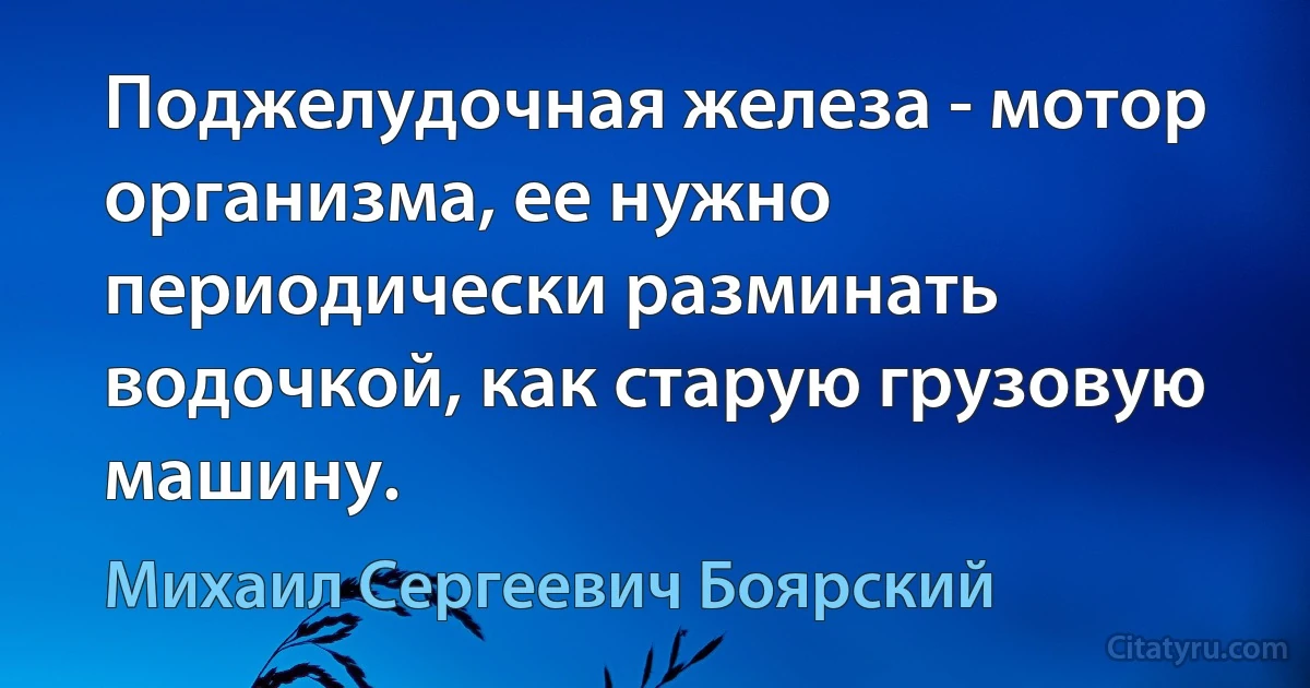 Поджелудочная железа - мотор организма, ее нужно периодически разминать водочкой, как старую грузовую машину. (Михаил Сергеевич Боярский)