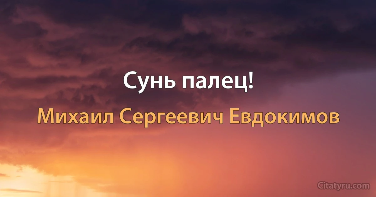 Сунь палец! (Михаил Сергеевич Евдокимов)