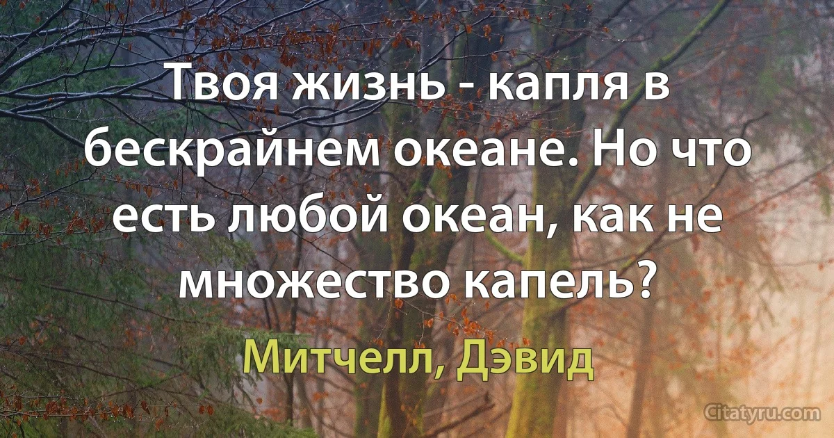 Твоя жизнь - капля в бескрайнем океане. Но что есть любой океан, как не множество капель? (Митчелл, Дэвид)