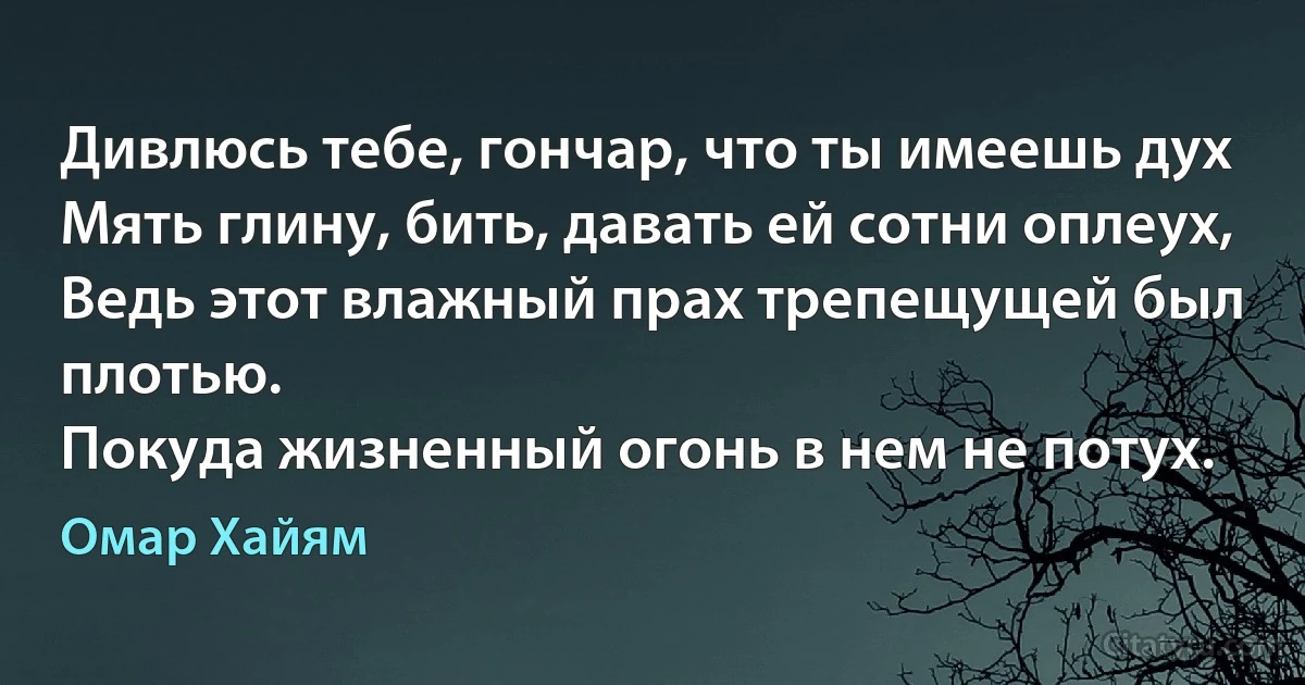 Дивлюсь тебе, гончар, что ты имеешь дух
Мять глину, бить, давать ей сотни оплеух,
Ведь этот влажный прах трепещущей был плотью.
Покуда жизненный огонь в нем не потух. (Омар Хайям)