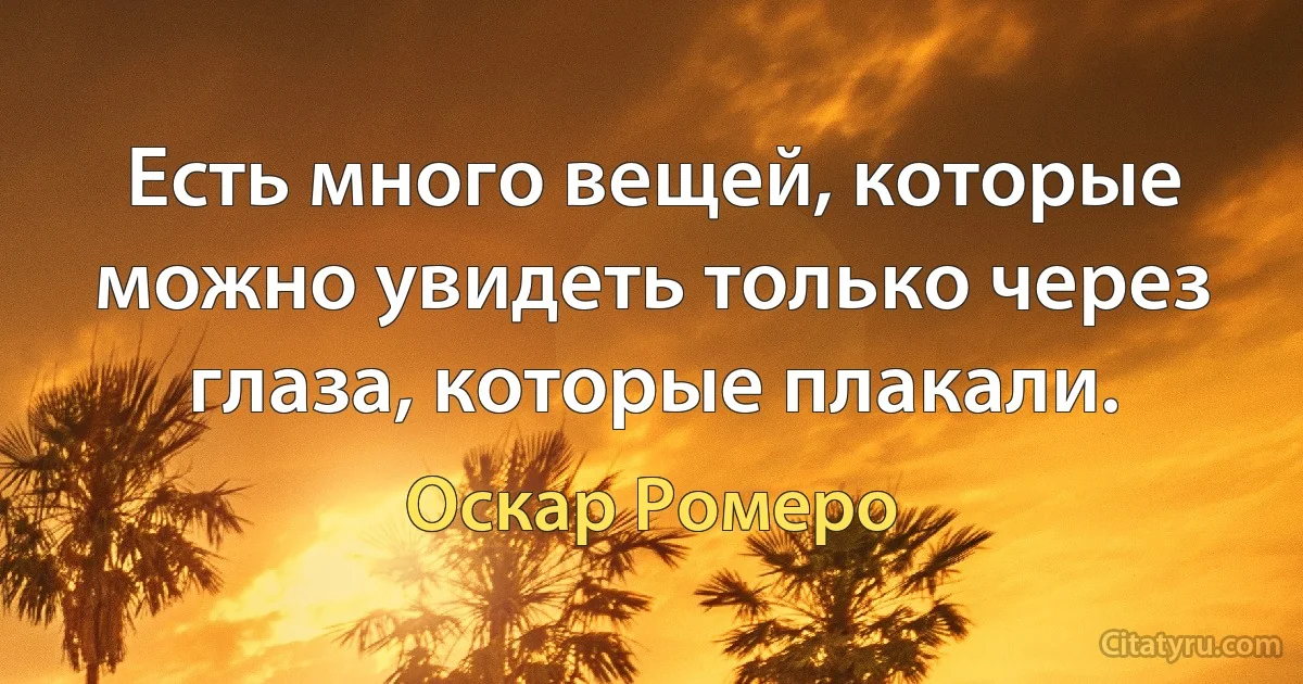 Есть много вещей, которые можно увидеть только через глаза, которые плакали. (Оскар Ромеро)