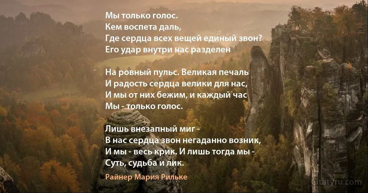 Мы только голос. 
Кем воспета даль,
Где сердца всех вещей единый звон?
Его удар внутри нас разделен

На ровный пульс. Великая печаль
И радость сердца велики для нас,
И мы от них бежим, и каждый час
Мы - только голос. 

Лишь внезапный миг -
В нас сердца звон негаданно возник,
И мы - весь крик. И лишь тогда мы - 
Суть, судьба и лик. (Райнер Мария Рильке)