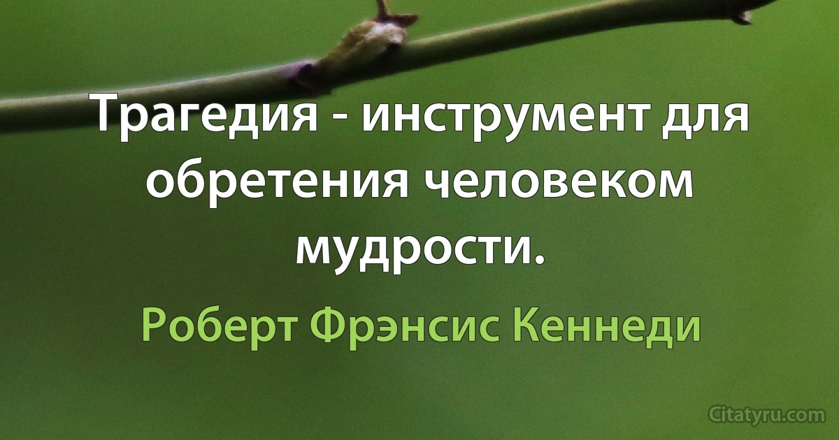 Трагедия - инструмент для обретения человеком мудрости. (Роберт Фрэнсис Кеннеди)